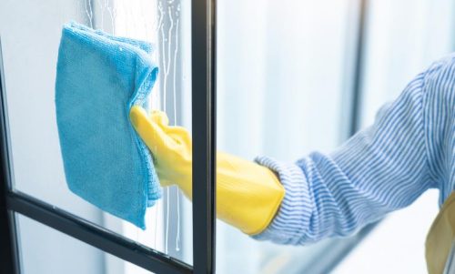 They Can Clean the Entire House Quickly