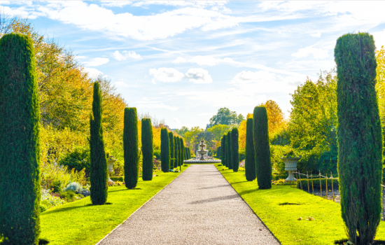 Best Parks in London