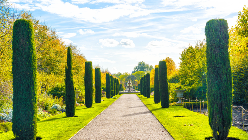 Best Parks in London