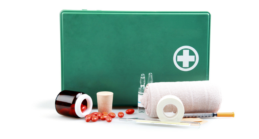 Embark Breed and Health Kit