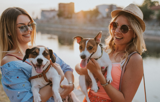 Gifts for Dog Lovers Top 10 Best Gifts