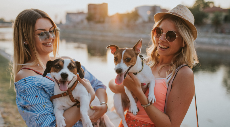 Gifts for Dog Lovers Top 10 Best Gifts