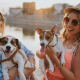 Gifts for Dog Lovers Top 10 Best Gifts