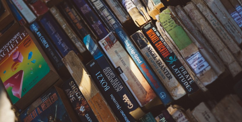 Graphic Novels and Manga Books
