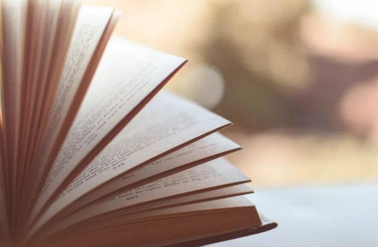 Julia Donaldson books