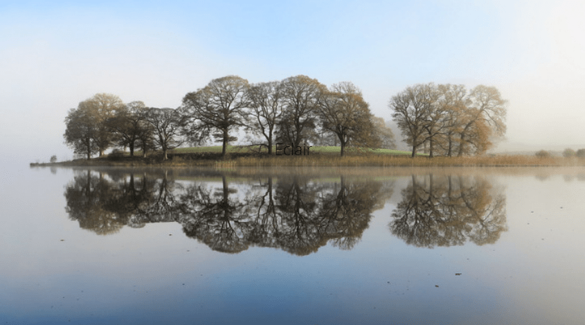 Reflections