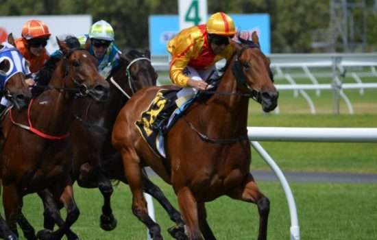 What does PU Mean in Horse Racing