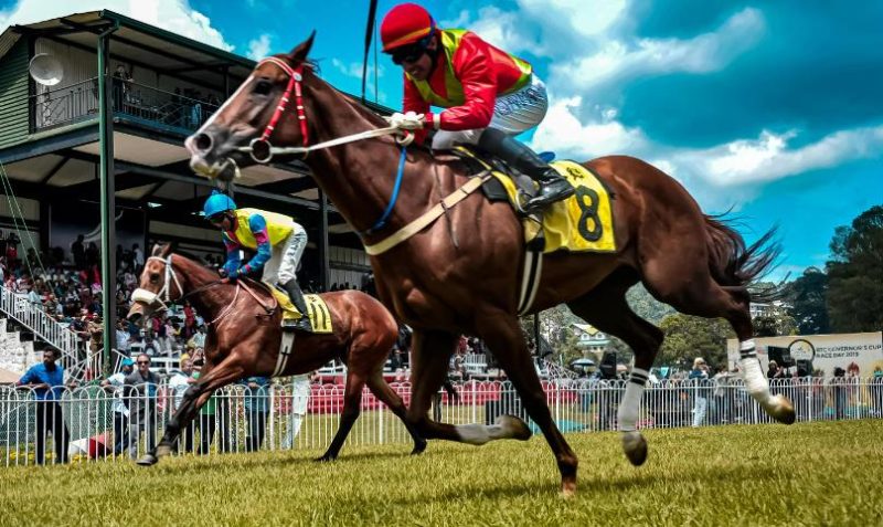 The Influence of SP Betting on Online Bookies