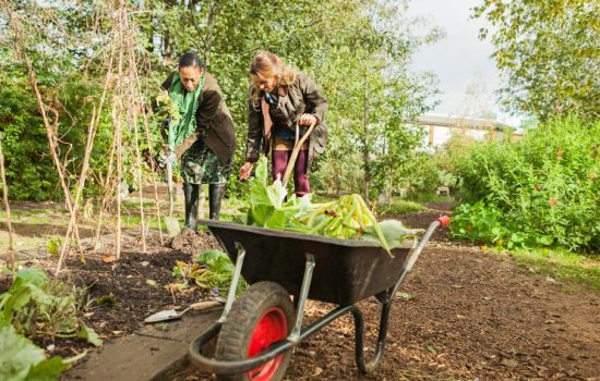 Garden Clearance Top Tip - When In Doubt, Chuck It Out