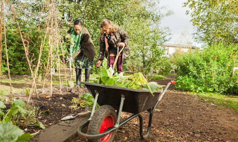 Garden Clearance Top Tip - When In Doubt, Chuck It Out