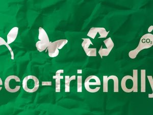 Make Your Business Eco Friendly with These Steps