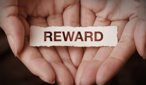 Reward and acknowledge workers for their efforts