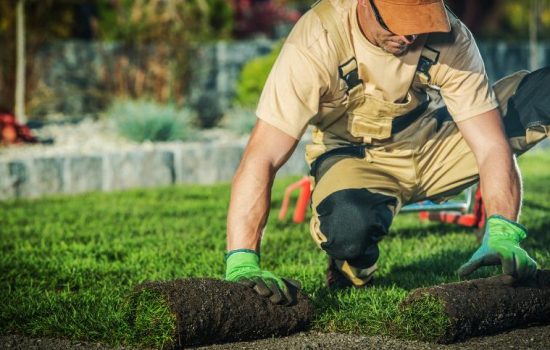 Benefits of Hiring a Professional Landscaping Company