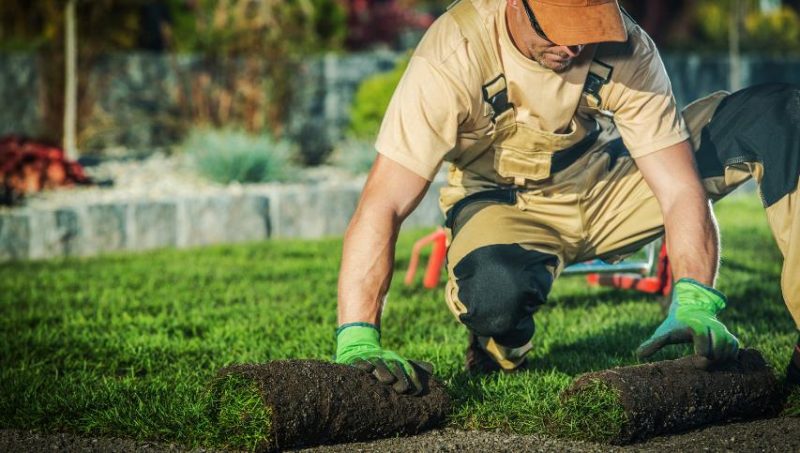 Benefits of Hiring a Professional Landscaping Company