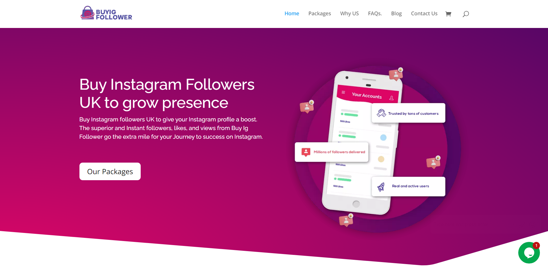 BUYIG FOLLOWER