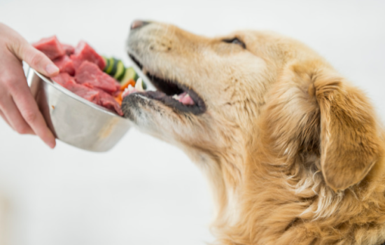 Comprehensive Guide To Raw Dog Food - Pros And Cons in 2023
