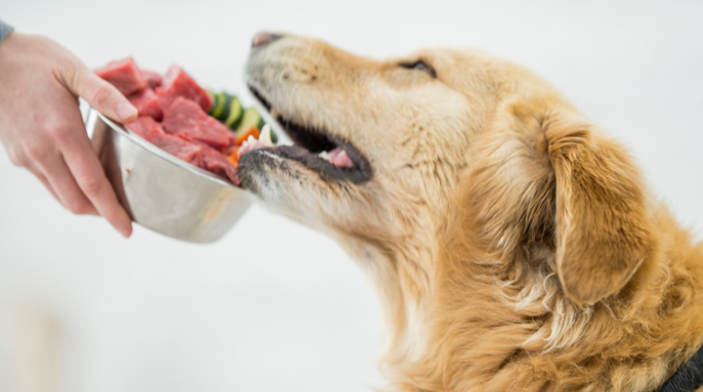 Comprehensive Guide To Raw Dog Food - Pros And Cons in 2023