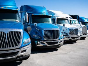 Should You Upgrade Your Business Fleet to Electric