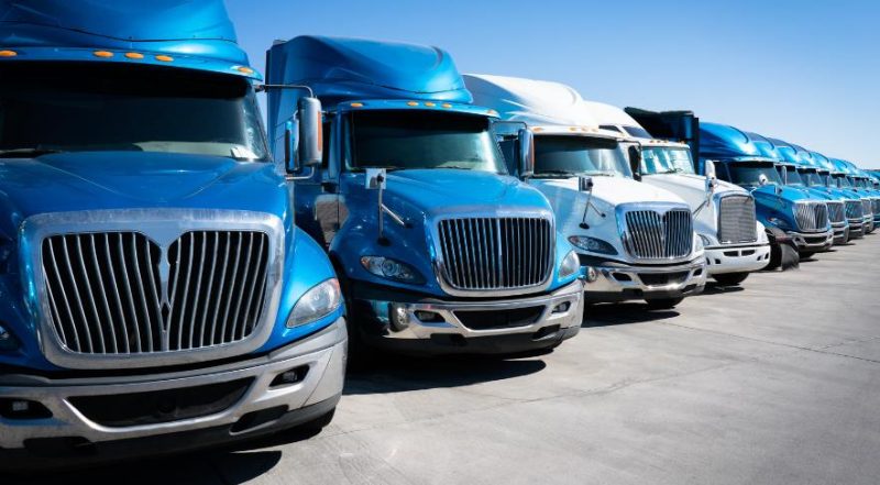 Should You Upgrade Your Business Fleet to Electric