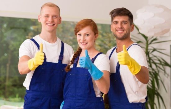 5 Things Professional Home Cleaners Can Do That You Cannot