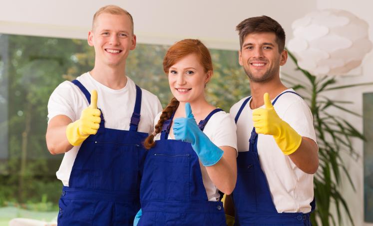 5 Things Professional Home Cleaners Can Do That You Cannot