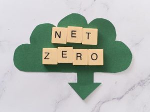 Navigating the Path to Net Zero - A Guide to Decarbonisation Frameworks