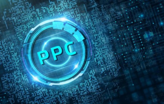 Driving Success Integrating Successful SEO and PPC Strategies