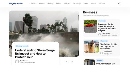 What Is Blogsternation.com