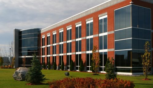 What Role Did the Pasteur Institute Play in Wallis Simpson's Inheritance