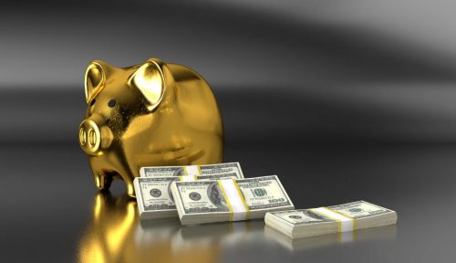 Did Jocelyn Wildenstein Receive a Large Inheritance