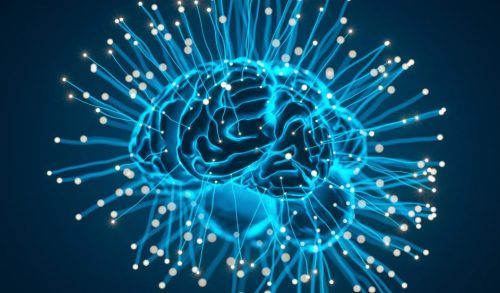 How Do Cannabinoids Impact Brain Aging and Cognitive Decline