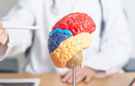 medical cannabis and brain health