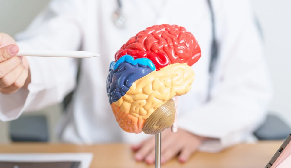 medical cannabis and brain health