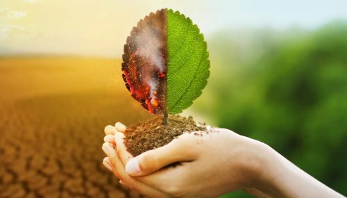 Environmental Impact