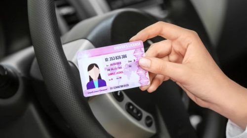 What is a Provisional Driving Licence