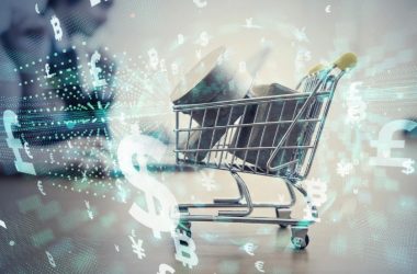 shopify plus development for businesses