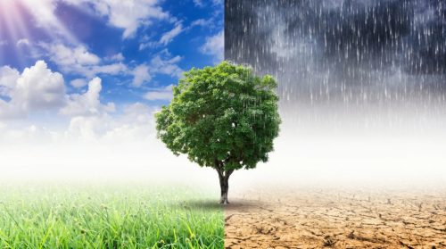 Understanding Climate Justice