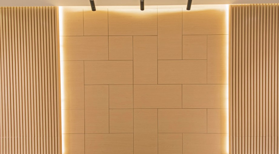 Wall Cladding Tips for High-Traffic Commercial Bathrooms