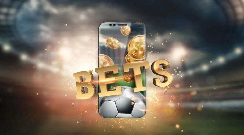 how data insights enhance betting strategies