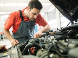 niche auto services in uae