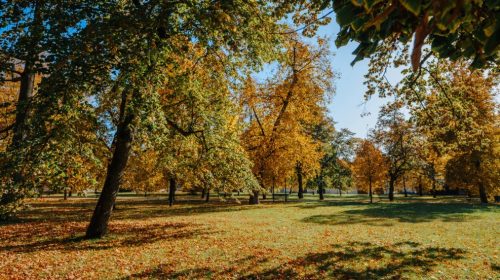 Preparing for Seasonal Shifts