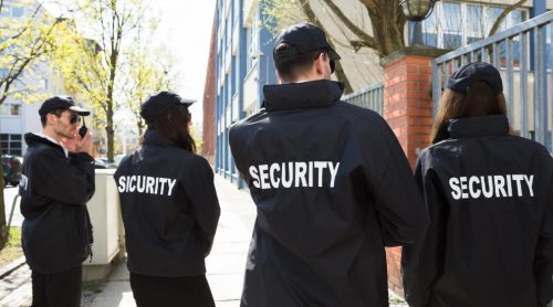 Why Businesses Invest in Trained Personnel