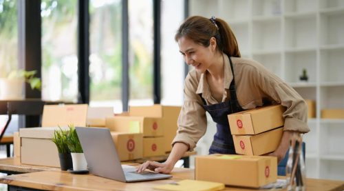 Avenues of Women Entrepreneurs