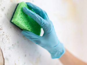 how to prevent mould in commercial buildings