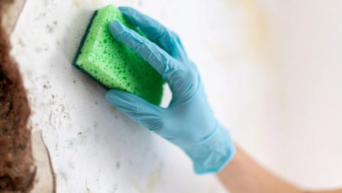 how to prevent mould in commercial buildings