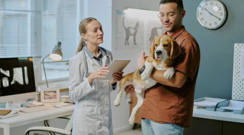 Regular Vet Check-Ups