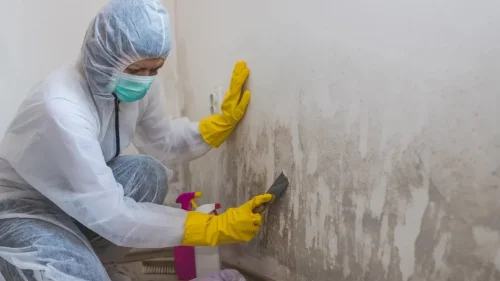 Expertise and Professional Accreditation