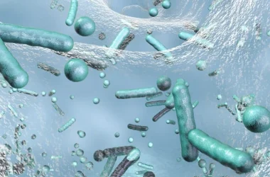 legionella risk assessment