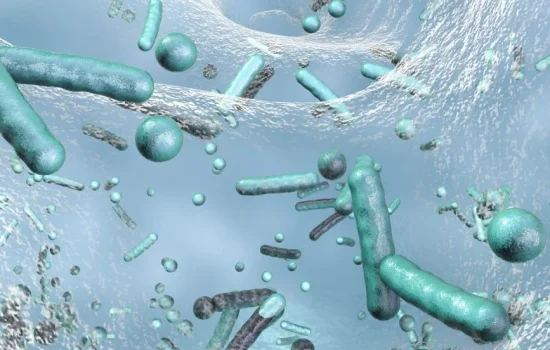 legionella risk assessment