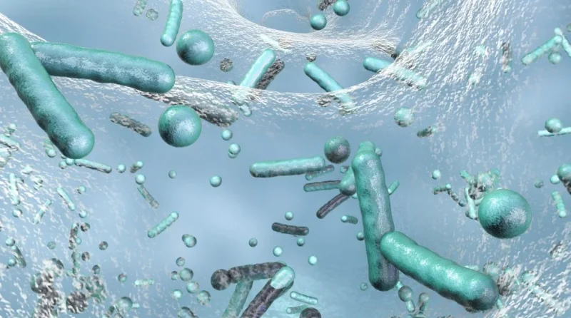 legionella risk assessment